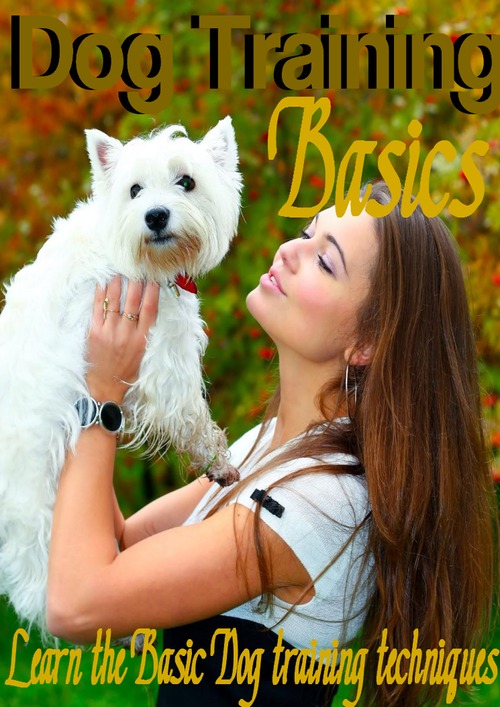 Product picture Dog Training Basics